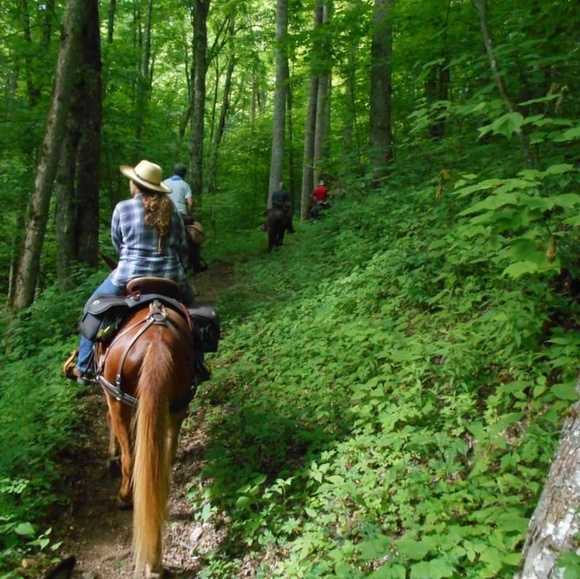 Meet your Posher, H - Picture 1 of 1